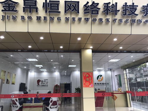 汕尾市金帛恒网络科技 网络技术服务的领航者与实践者
